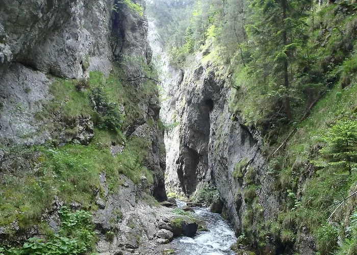 Amis 2 * 립토브스키트로노벡